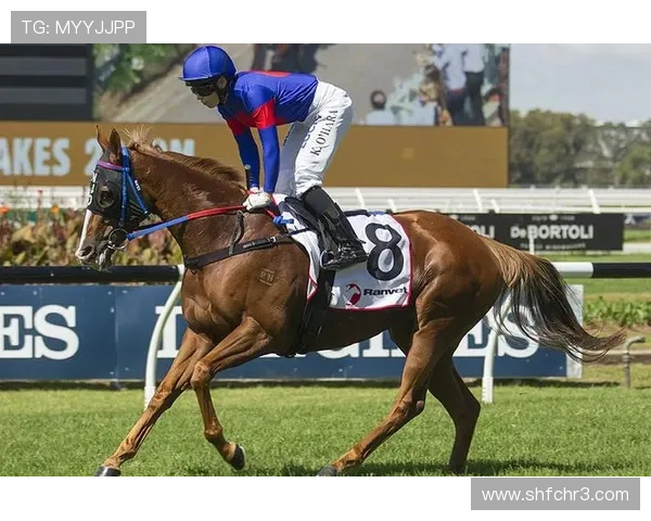 体育足球联赛简报范文（足球联赛简讯）sports